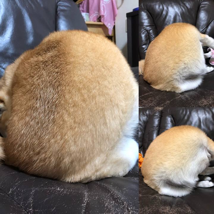 Bffaa522 acc2 4edd 976e ab3011892ba1 1549261372890