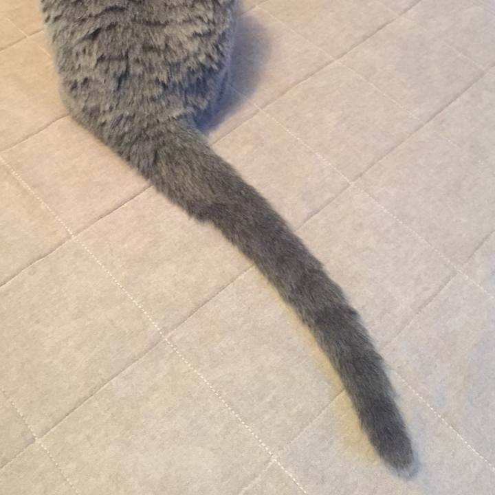 Bffaaefb 95bb 4588 a138 dd222fe2f80d 1545347991678