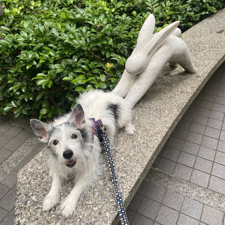 Bffb537e d2e9 43db 943d 8ac3ca10fe4a 1623591390222