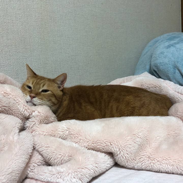 Bffbd149 b68a 4f53 add7 b4a20d1d5a07 1704615014450