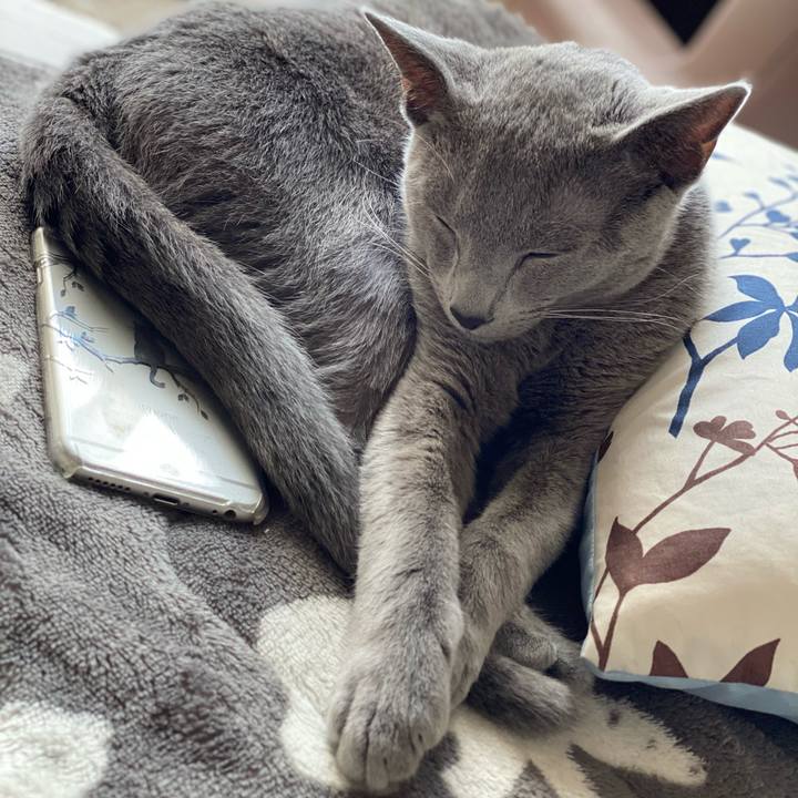 Bffbe408 637e 4509 90c7 6130e45c18ca 1613888748634