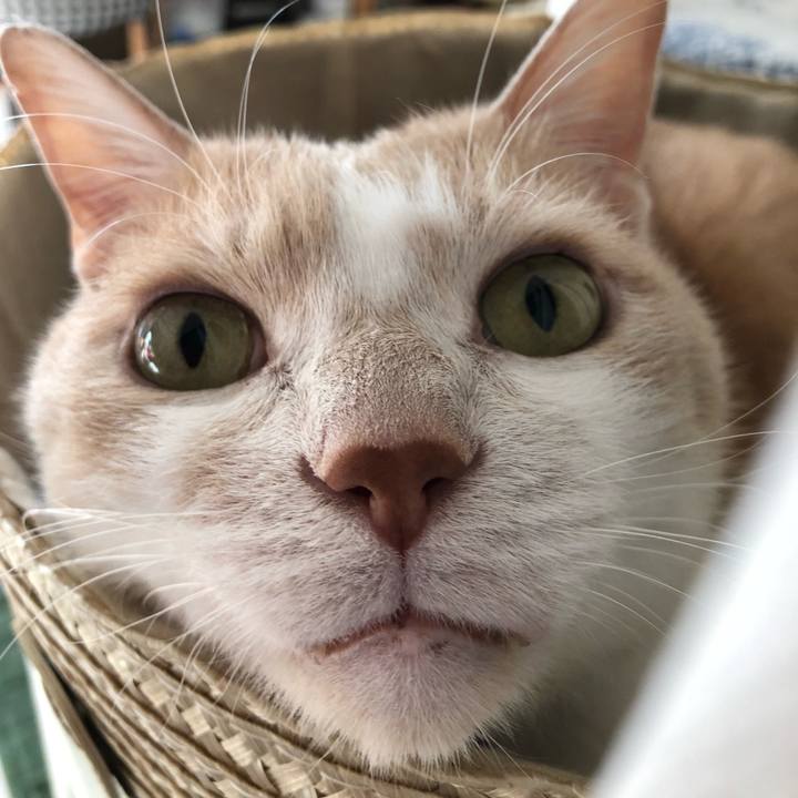 Bffbea79 0999 48b3 8570 7140ebdf5d87 1516836033364