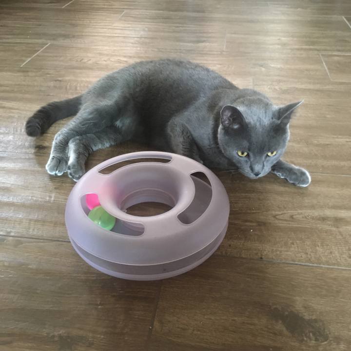 Bffc1488 21b4 461b 9036 6e147364945d 1655336931169