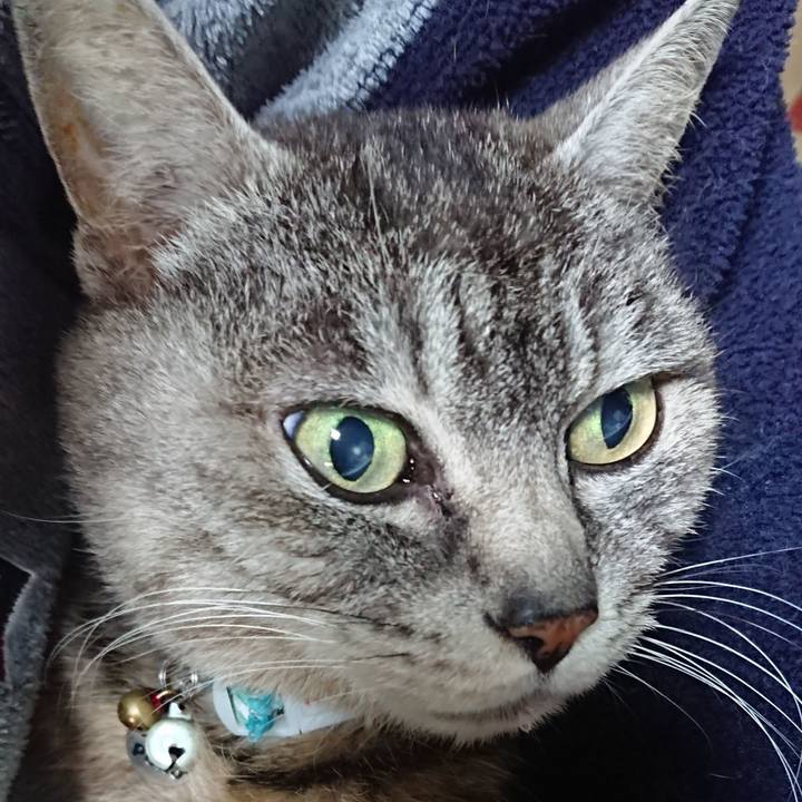 Bffc1cfc 7b44 4147 8a85 ef668c1bd06f 1554977266334