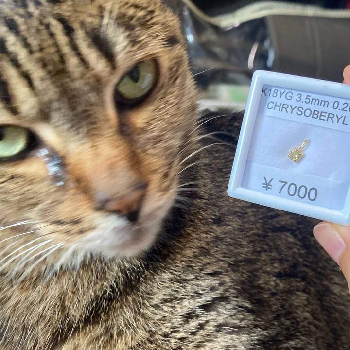 Bffc2822 fdf7 4bdb 8fce d25226972a40 1719478763876