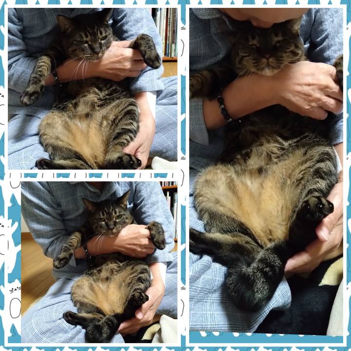 Bffc6ce5 1bd7 4f93 ab81 a3402782656b 1763862148237