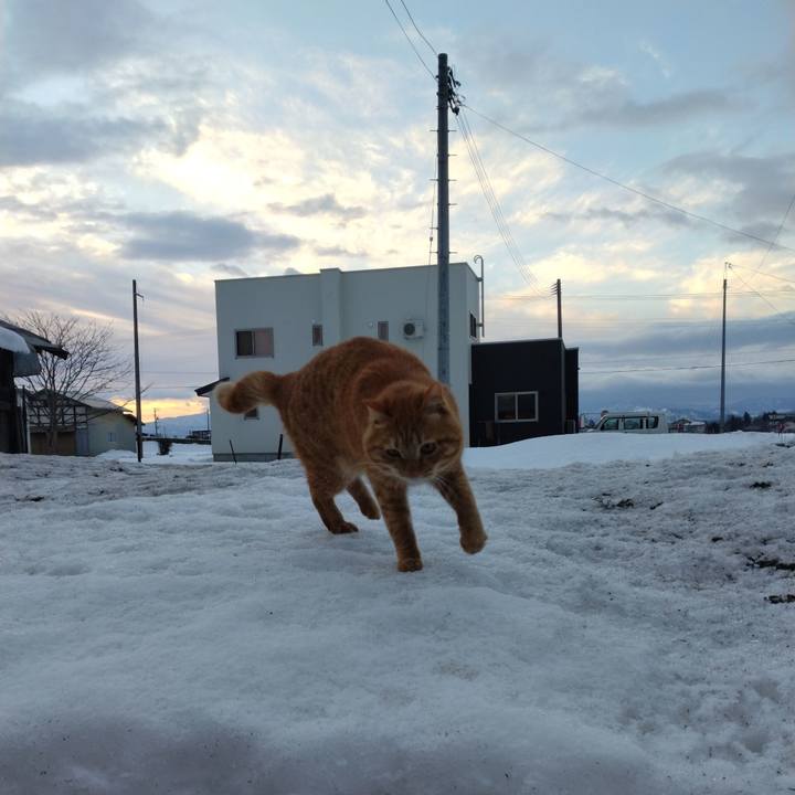 Bffc8eea 6f32 40ab 95a4 3028f08d8dca 1674167152541