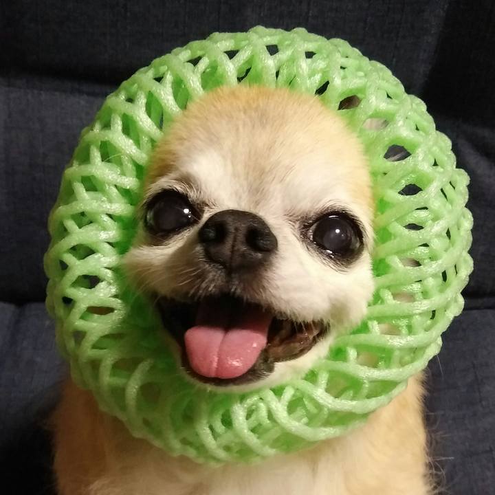 Bffca3a7 776e 4a02 b1a9 184049ae499e 1535635350847