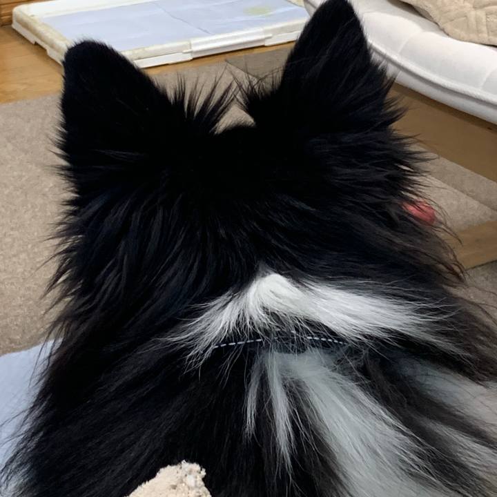 Bffcb9c2 b30a 4b3f 9e2f ec0c7e2b4cec 1579300843167