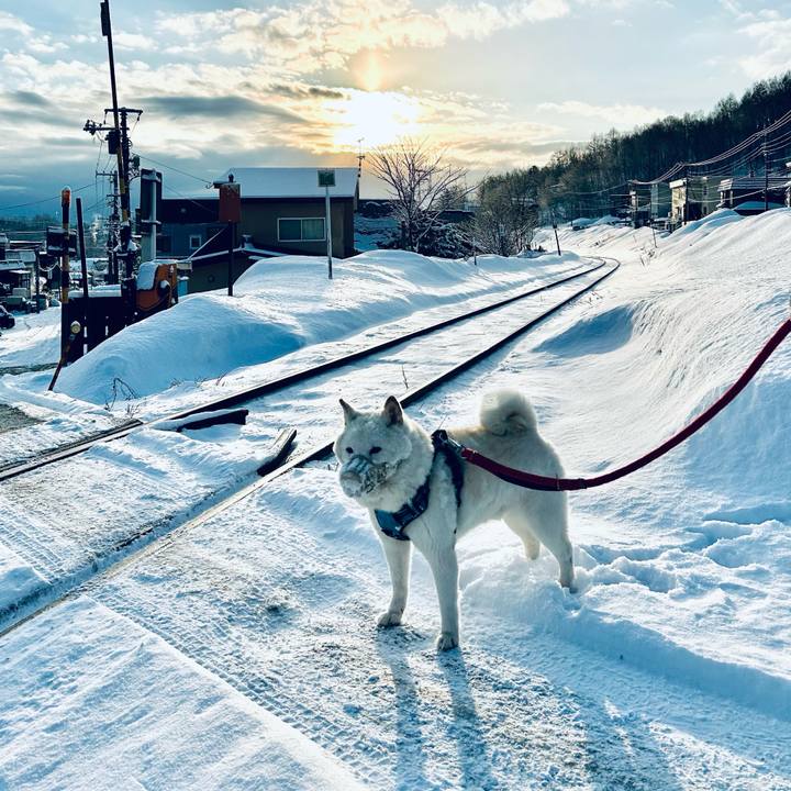 Bffd1235 440a 4946 b022 3391660b48b0 1773096428553