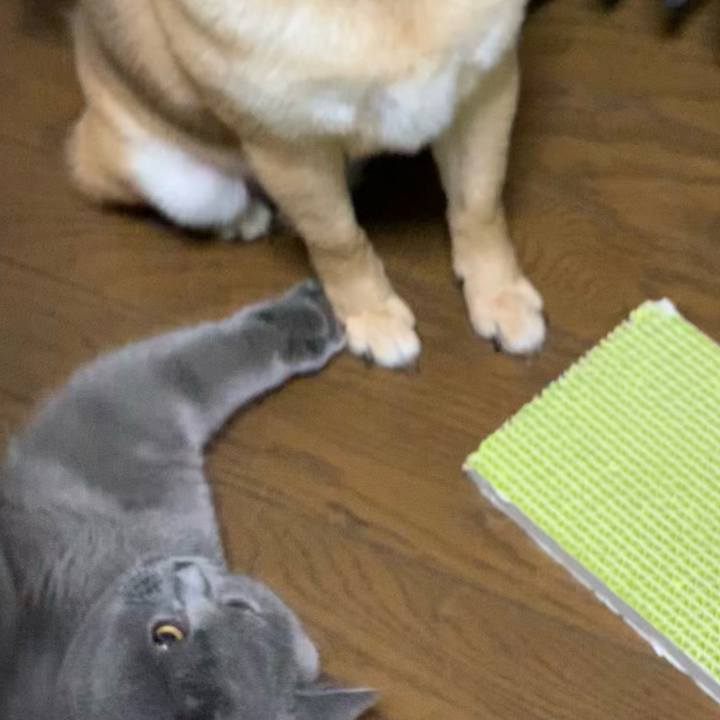 Bffd2b10 baf4 4300 8667 bed4c722a946 1684243086644