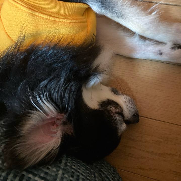 Bffd4038 ee04 40c4 9c38 9c69b09f0490 1677337528030