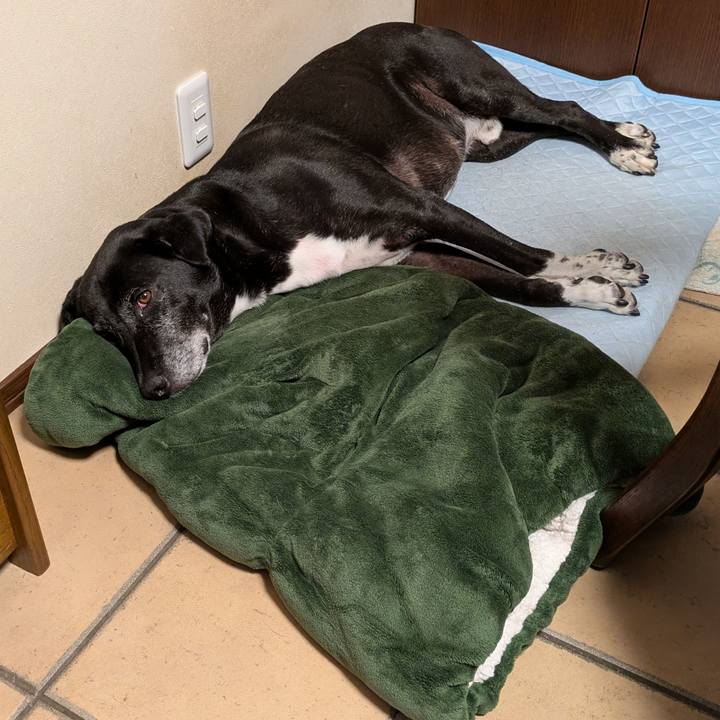 Bffd49fb bf76 4dc8 8e1f 019f96f20a17 1754773682994