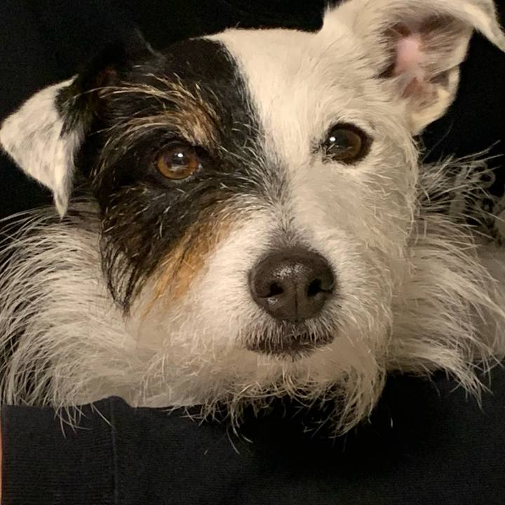 Bffd78fa 8cdc 4710 97ed 2f188f2e1800 1678961184999