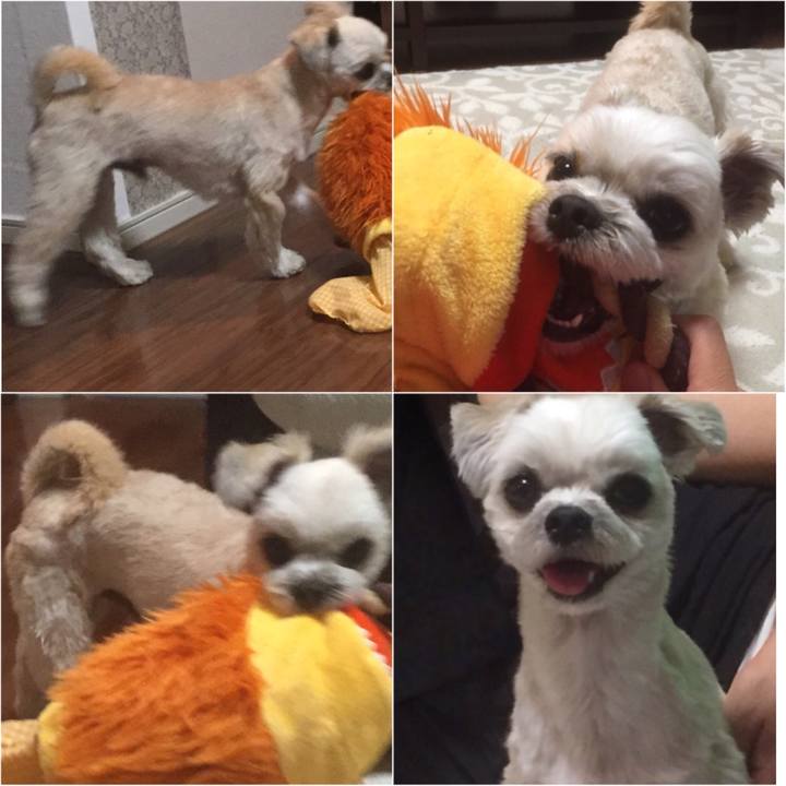 Bffd82aa 345e 4b15 9c09 479a3a6f06d9 1558961476023