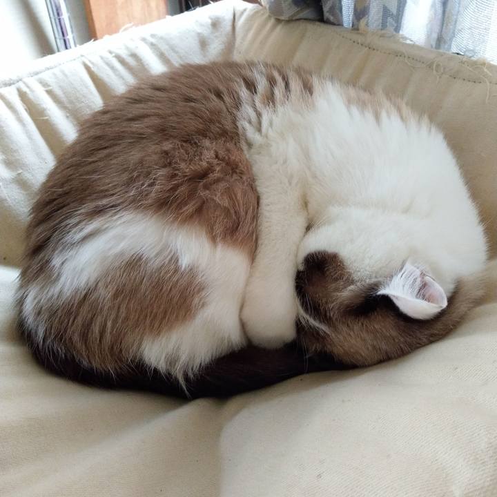 Bffdb32c ca65 486e baca 46bcc24bba88 1539493702611