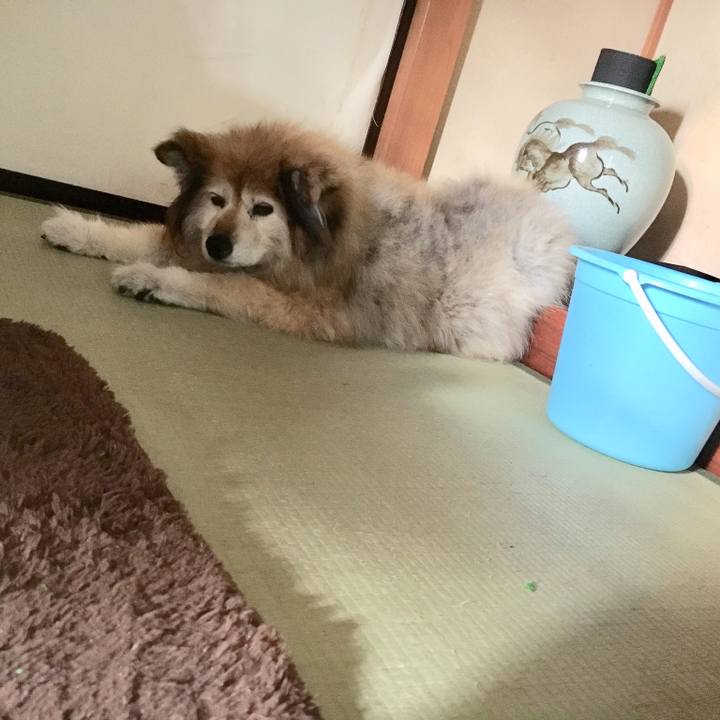 Bffdbebe 09bc 4acb 80ce 0906c474a010 1547809764863