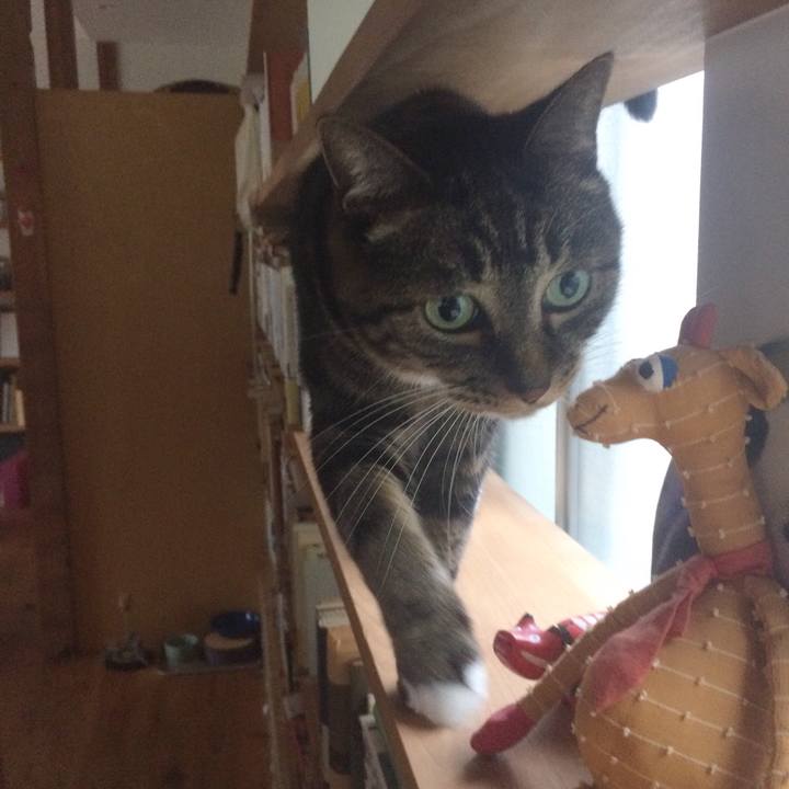 Bffdce77 de3e 4808 86d7 8cec18737dd0 1539648358355