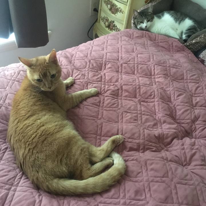 Bffe2b2f 1ca3 42b3 b480 e153cc3824dd 1687742360886