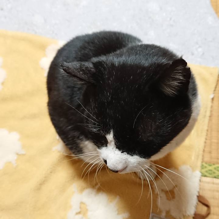 Bffe452a 2e88 497a 8da2 f56426907077 1644130832663