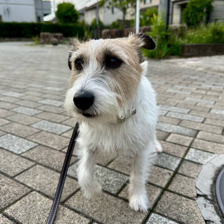 Bffeacd2 ddd0 453b bfc9 a8a069e104ee 1749793601627