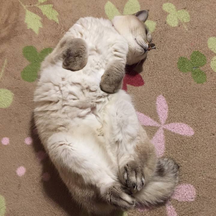 Bfff196f c10a 4725 8bd9 8cf5a558e83d 1576325030842