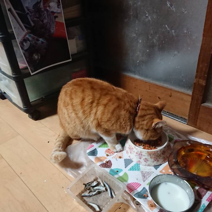 Bfff5180 8f55 4a64 81f4 1fedb454de56 1607123181684