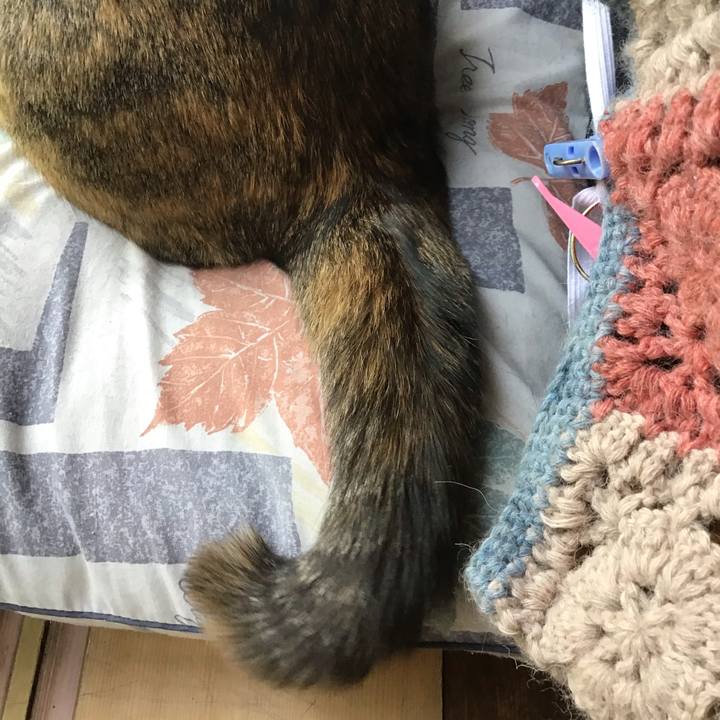 Bfff5bba a6bf 431f 8e8c efb6caa8adc6 1616819820859