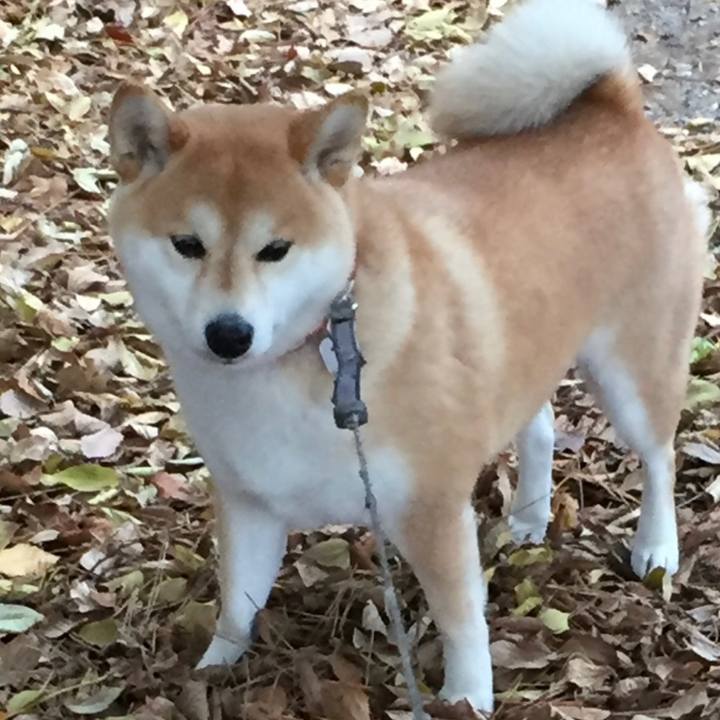 Bfff931d 7e8c 4a41 b2d7 bf92884e33c2 1590935386694