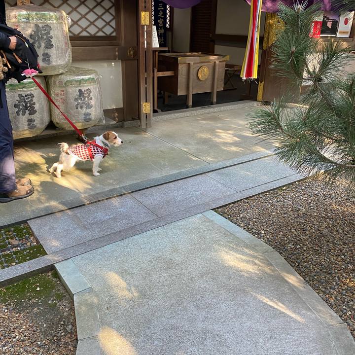 Bfff9a32 c152 4fca b16a 62856afed88e 1672561143128