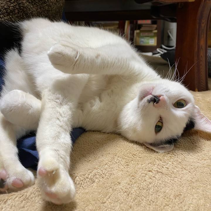 Bfff9deb c447 4c5a 9455 02dde9712bba 1582639018631