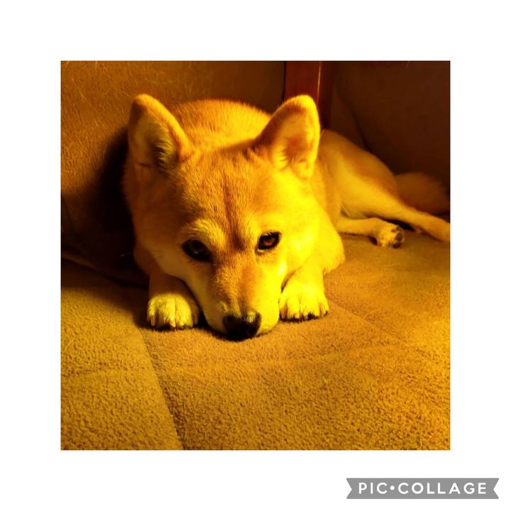 Bfffd9d6 0b35 48b0 a493 d85c2424ca6d 1708928139901