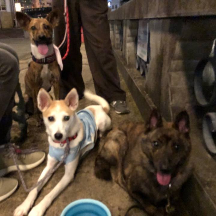 Bfffe167 65a6 4c3e 966d 1b55c7400429 1598531457617