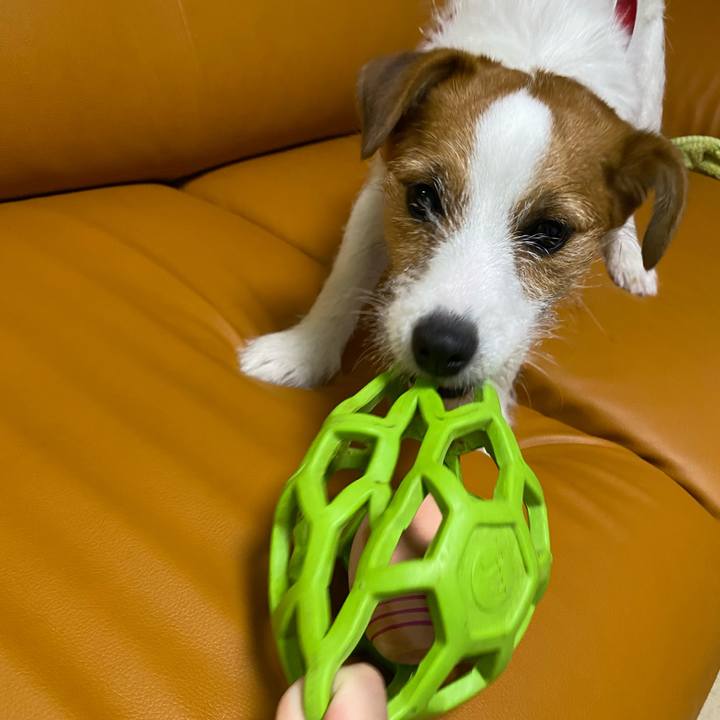 Bfffef49 0a79 4b5e 9b02 29fa898ab54a 1623584536453