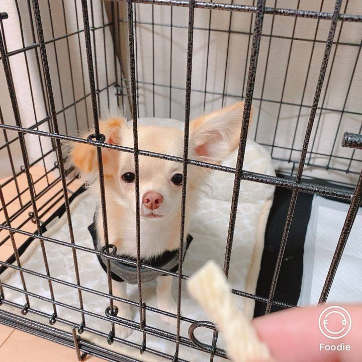 C00001c1 ead8 4aaf b940 3450e79102f2 1602741169860