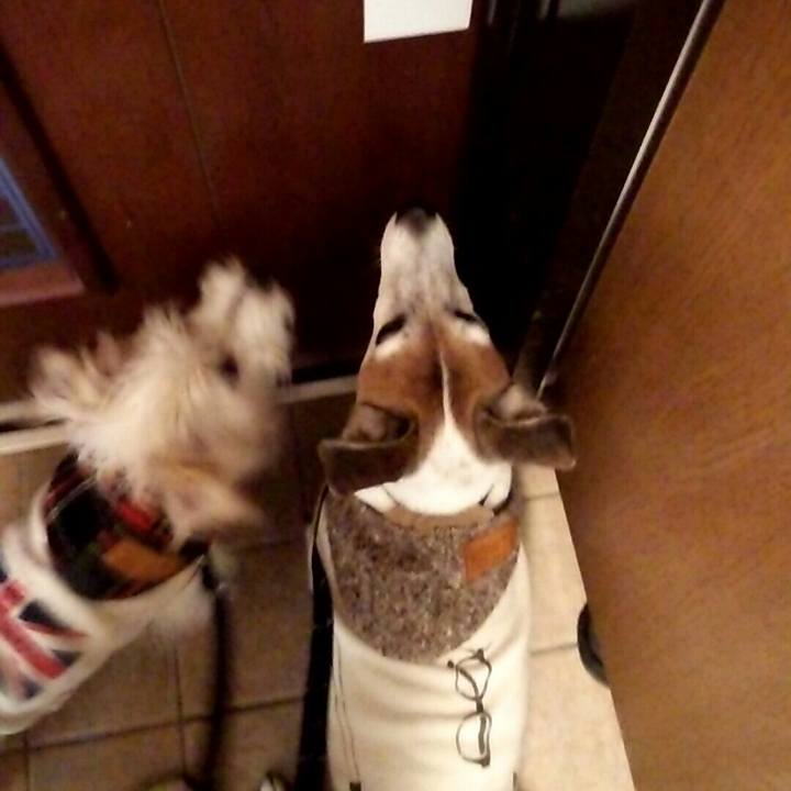 C0001001 cadf 4687 969f f84b173b0916 1508749533868