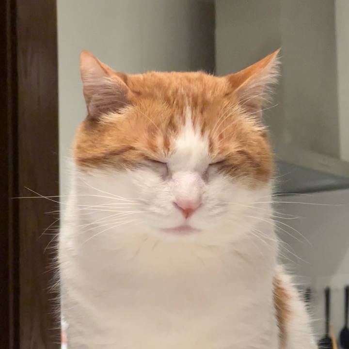 C00013d8 3bc0 49d7 8501 c4dbc21a20bc 1772716071264