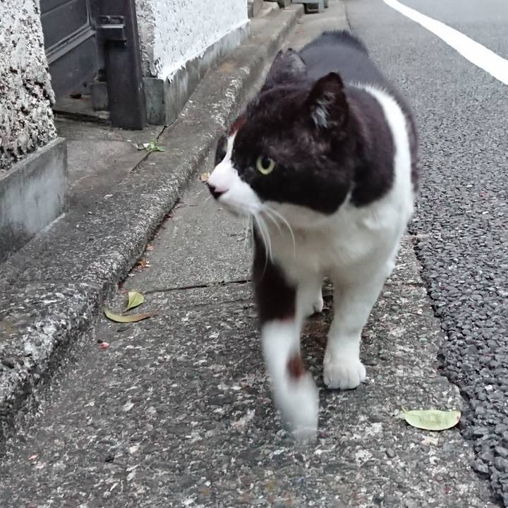 C000388c 015b 4fc8 8bd4 41a6d92713b8 1653558948048