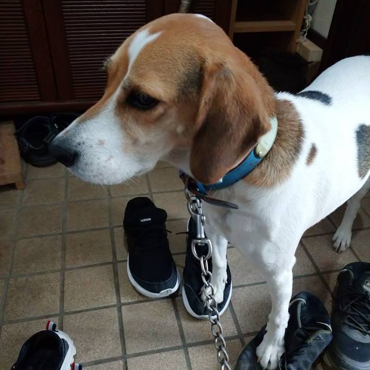 C0003f6b 2d24 4f78 ae9e 58867b408622 1603436900771