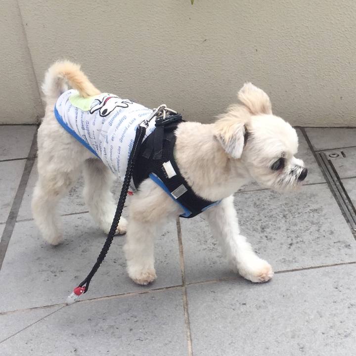 C00047f9 fb54 4bd7 953d 9ebb8d4c65c1 1541414289327