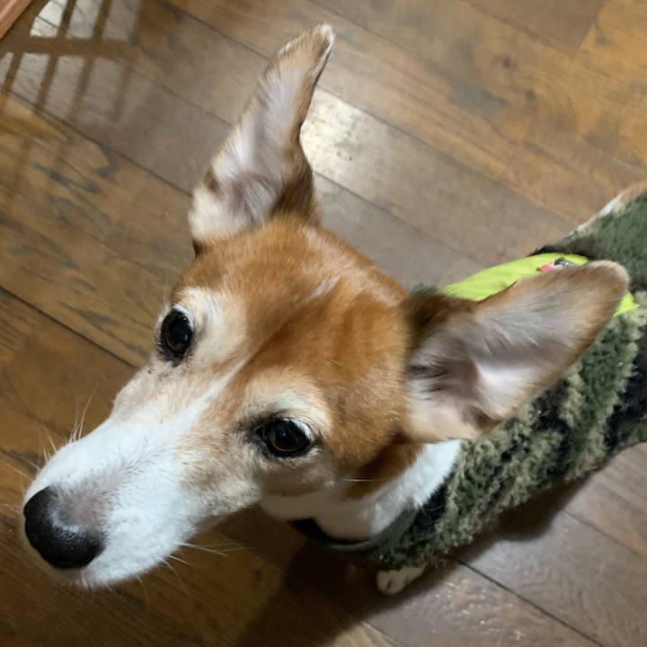 C0006c01 36f6 4a7b b982 21347d189f3d 1548992958359