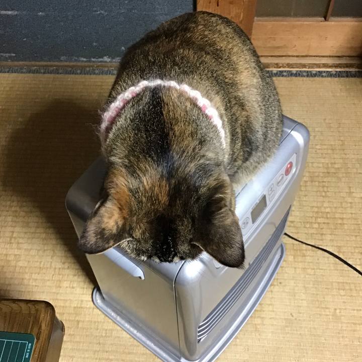 C0006fae 1d58 46ae aeb0 49bddd45675d 1670501259508