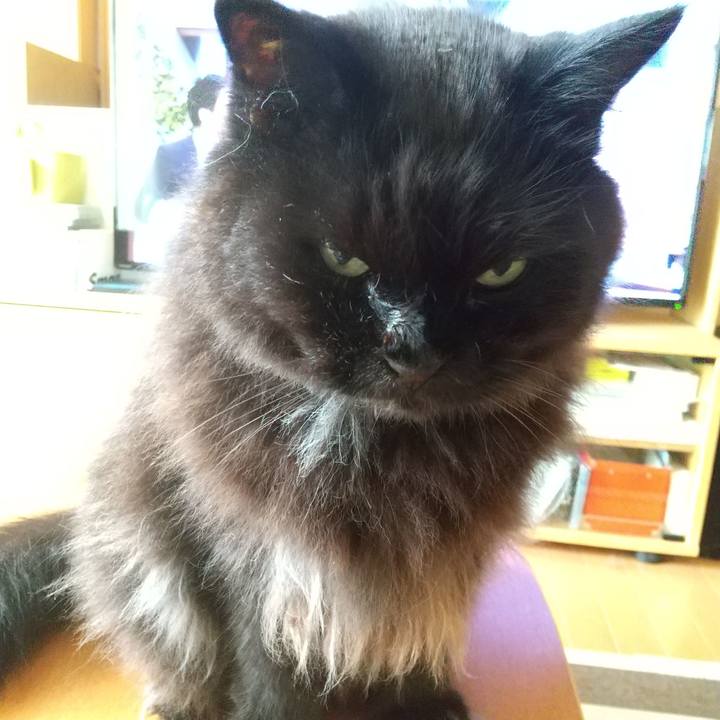 C00091f3 1432 4b41 a9e3 27a788195caa 1624704067389