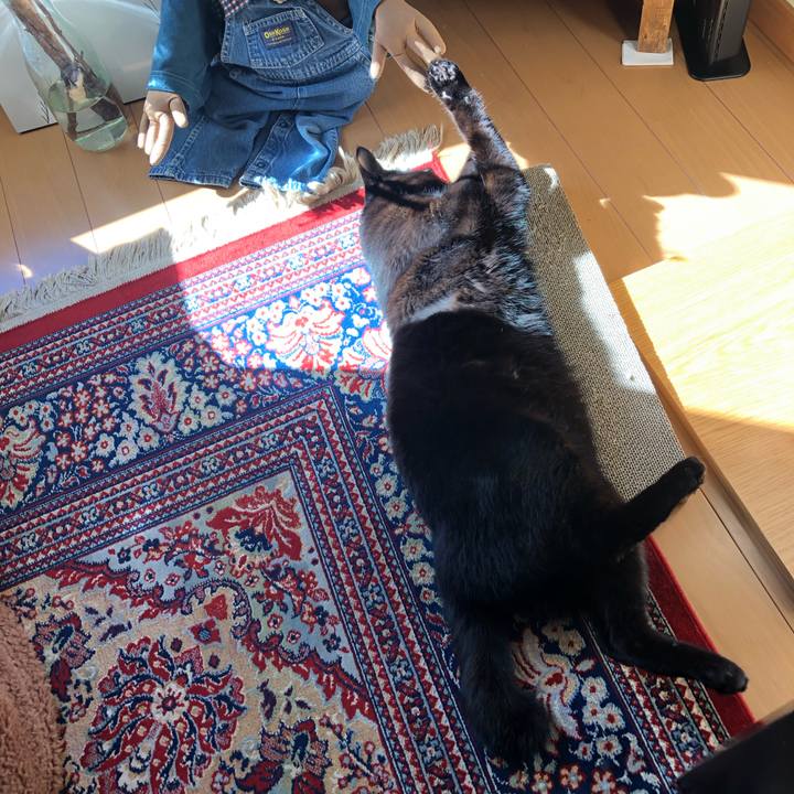 C00098d5 d5f8 406b 8c03 4edc780392c9 1548568506735