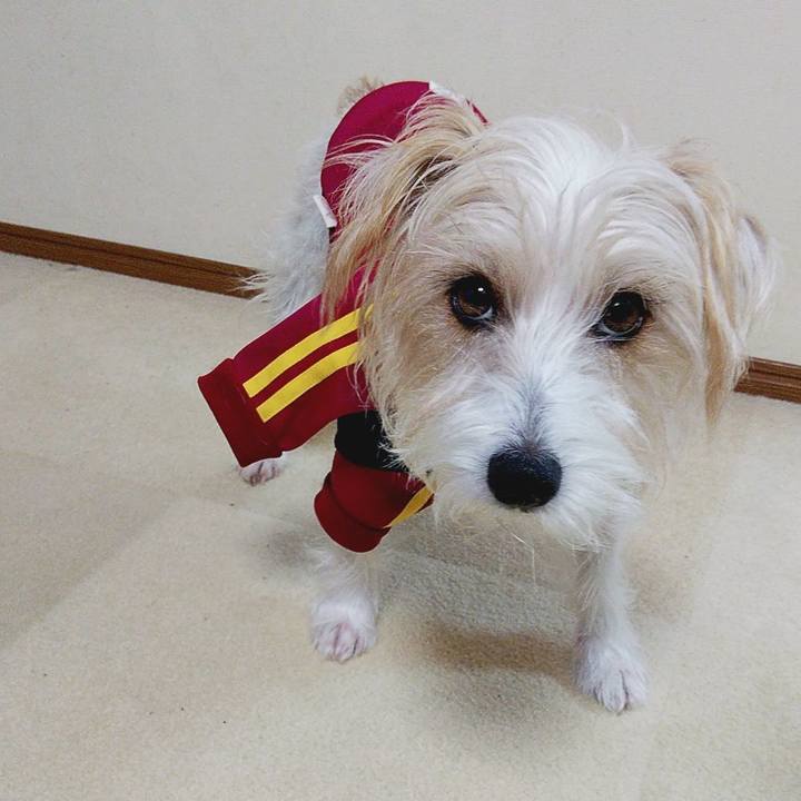 C0009b9f aa83 4d5d 87e0 d6f758a92607 1578043569054