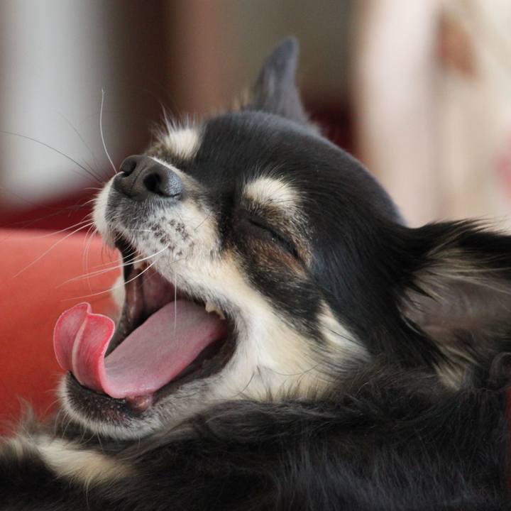 C000cb51 4cf0 4666 b2b7 fffb38549318 1558509893121