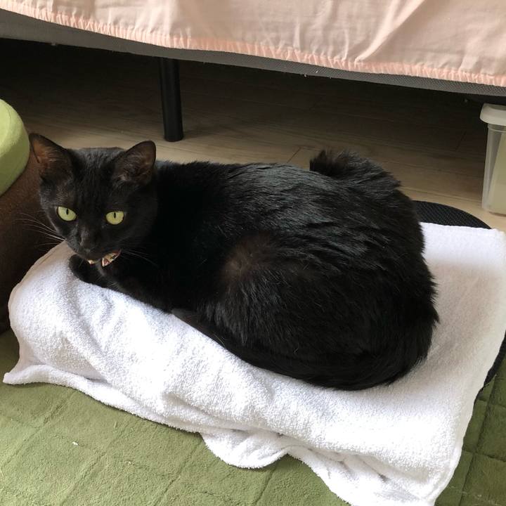 C000cdad e2e6 4a18 8f41 8b86bef5556f 1595642709134