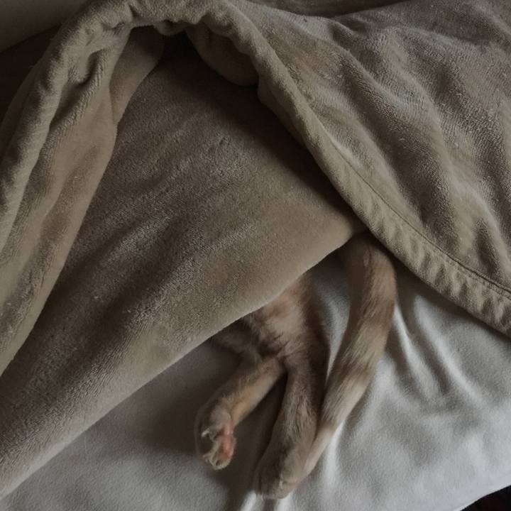 C000fc3b b61f 4ecd 89d1 e690283e16c3 1573012211953