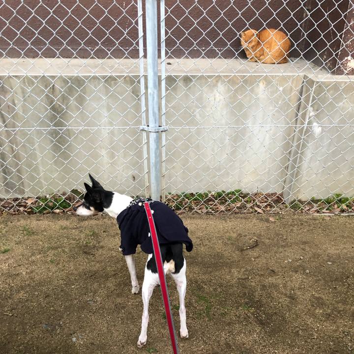 C0011a22 b57b 4d47 9f73 60205e772494 1549978287321