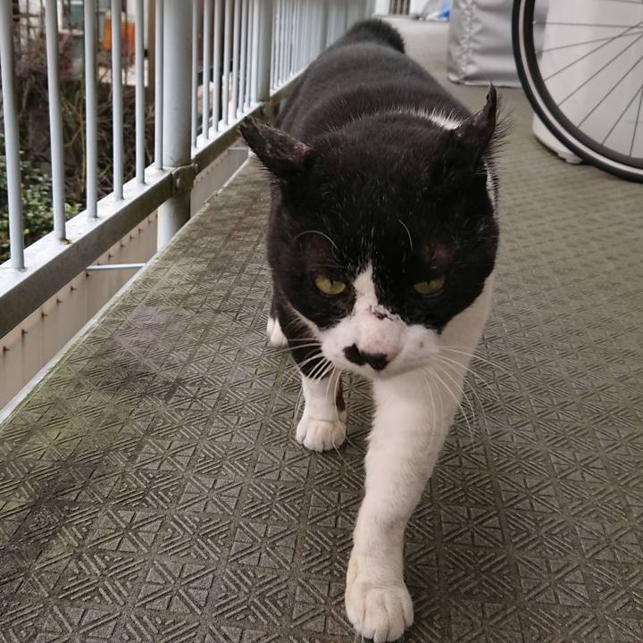 C0014e80 572f 43d1 89c3 26eaeca5cc31 1581734703744